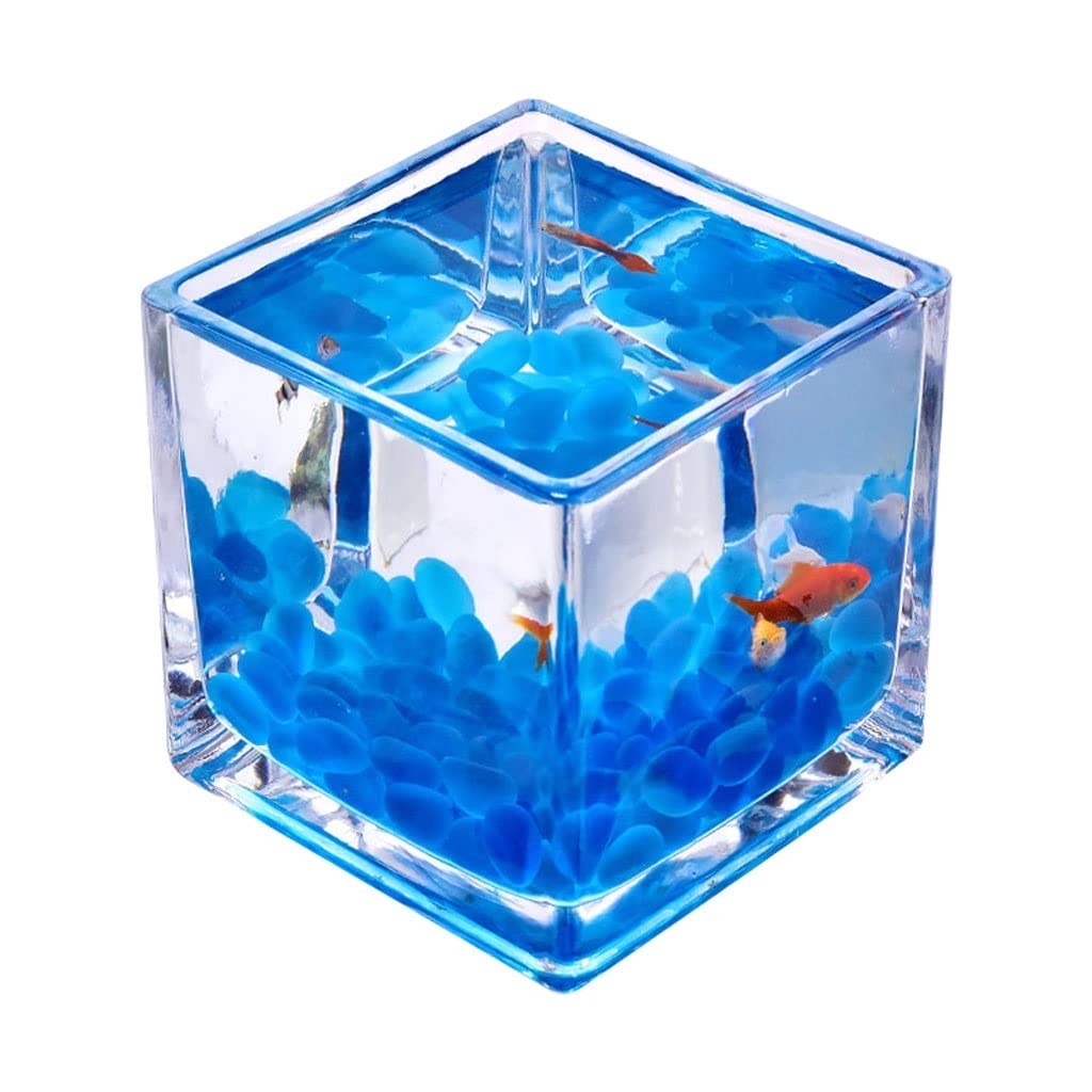 Pecera de Escritorio Cuadrada de Cristal Transparente para Oficina, hogar, decoración Creativa, pecera pequeña, Planta de Agua, pecera Fresca (10 cm) (A 15 cm)
