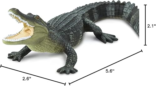 Miniatura 7 de Safari Ltd. Figura de cocodrilo – Figura realista de reptil de 6 pulgadas – Juguete educativo para niños, niñas y niños a partir de 3 años