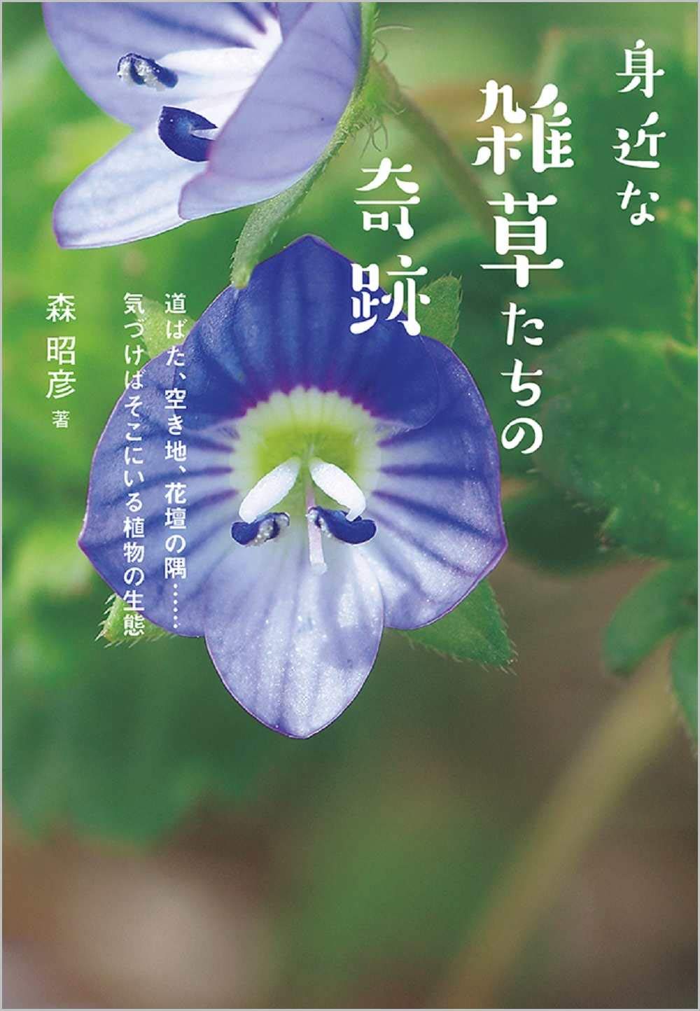 身近な雑草たちの奇跡 道ばた 空き地 花壇の隅 気づけばそこにいる植物の生態 森 昭彦 本 通販 Amazon
