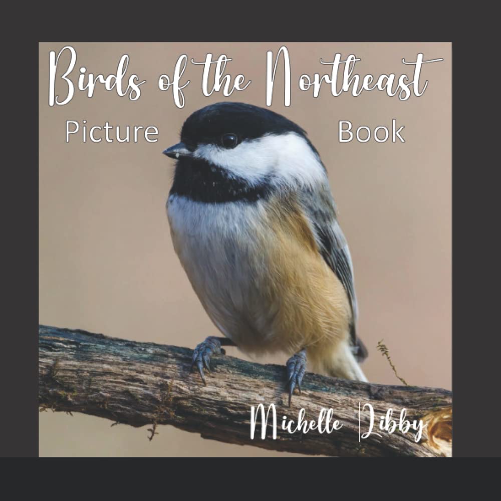 Birds of the Northeast Picture Book: A picture book for adults with dementia or Alzheimer's (Senior Picture books)