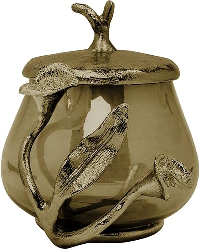 Decozen Soporte Qtip y tarro de algodón con tapa, elegante organizador de vidrio y metal para decoración decorativa de cocina, decoración del hogar,