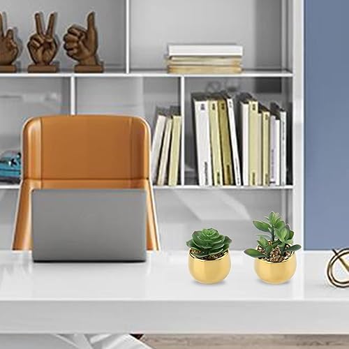 Miniatura 4 de Briful Pequeñas suculentas artificiales en macetas, juego de 2 plantas suculentas realistas con macetas de cerámica doradas, lindas mini plantas