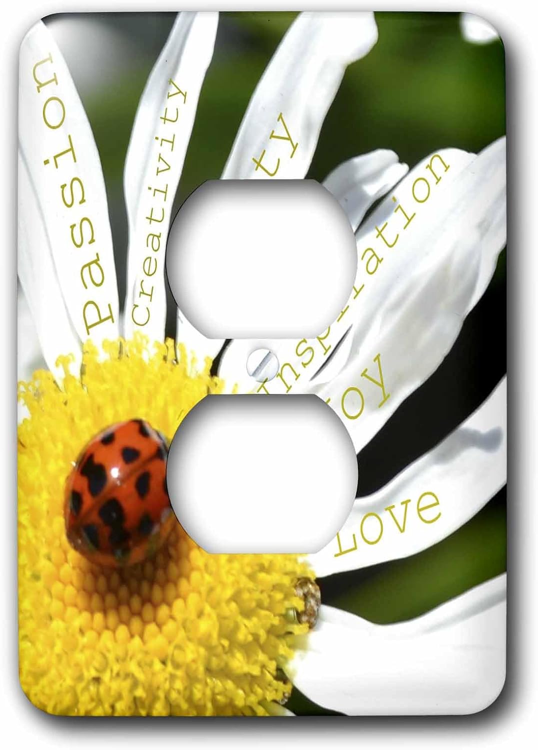 3dRose lsp_40136_6 Inspirational Words Ladybug On A Daisy- Affirmations- Flowers 2 Plug Outlet Cover