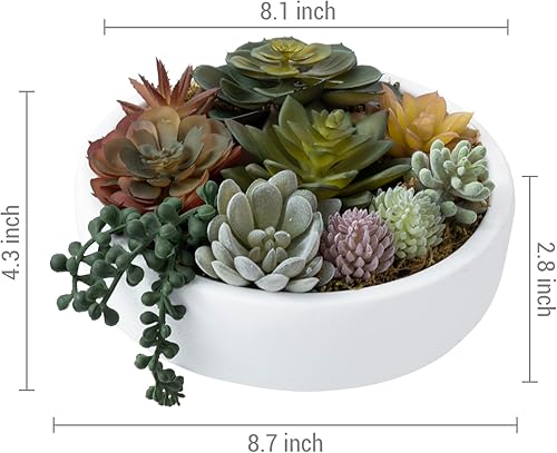 Miniatura 5 de MyGift Arreglo artificial redondo moderno de 8 pulgadas en maceta en un cuenco de hormigón blanco, mini suculentas artificiales surtidas en una