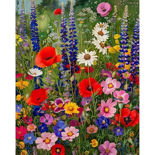 Ycydilirab Wild Flowers Paint by Numbers for Adults - Paint by Number Flowers,DIY Acrylic Paint by Numbers Kits on Canvas Flower Drawing Colorful Paintworks Artwork for Adults Beginner 16x20inch
