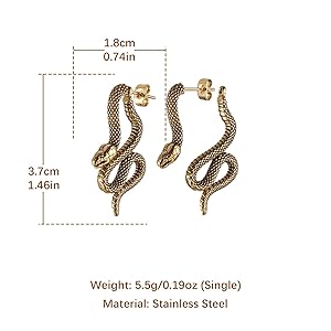 Amazon.com: HZMAN Gothic Snake Earring Stainless Steel Punk