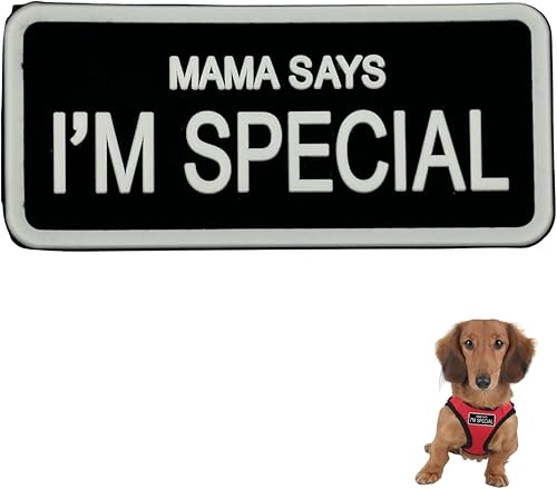 Mama Says I'm Special Parche militar táctico de PVC, parches morales con apliques, respaldo de gancho y bucle, para arnés de chaleco para perro,