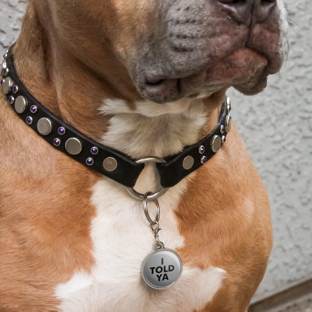 Graphics & More I Told Ya Chrome Plated Metal Pet Dog Cat ID Tag - Large