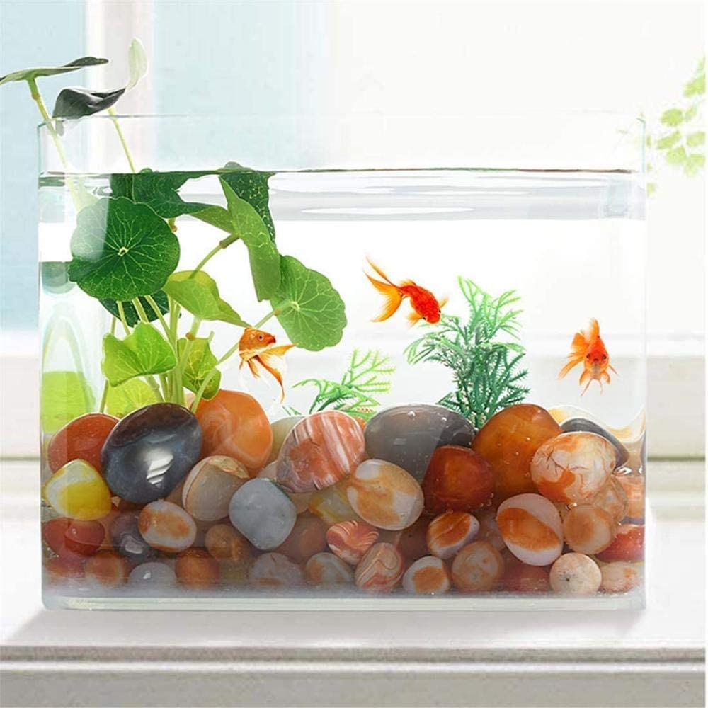 GIVBRO 500g kiezelstenen decoratieve stenen kleine korrels rivier grind mini stenen voor aquarium tuin versiering DIY ambacht, 3-5cm