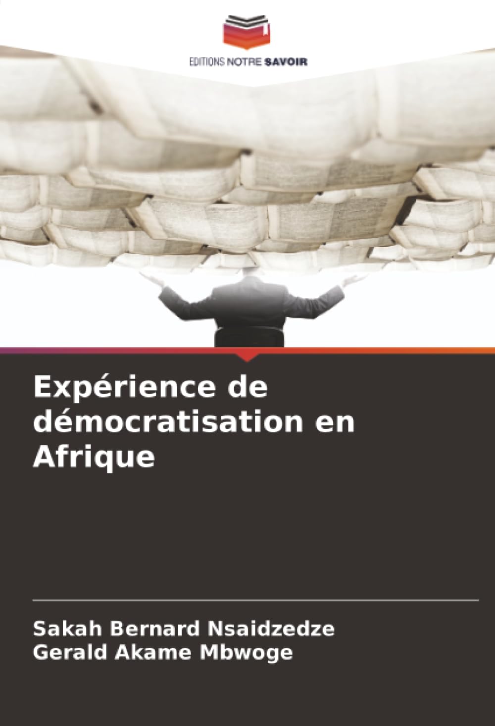 Expérience de démocratisation en Afrique