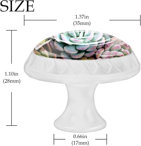 Miniatura 4 de Perillas redondas decorativas para armario de cocina, cajones de armario, cómoda, 4 unidades, suculentas, cactus y suculentas