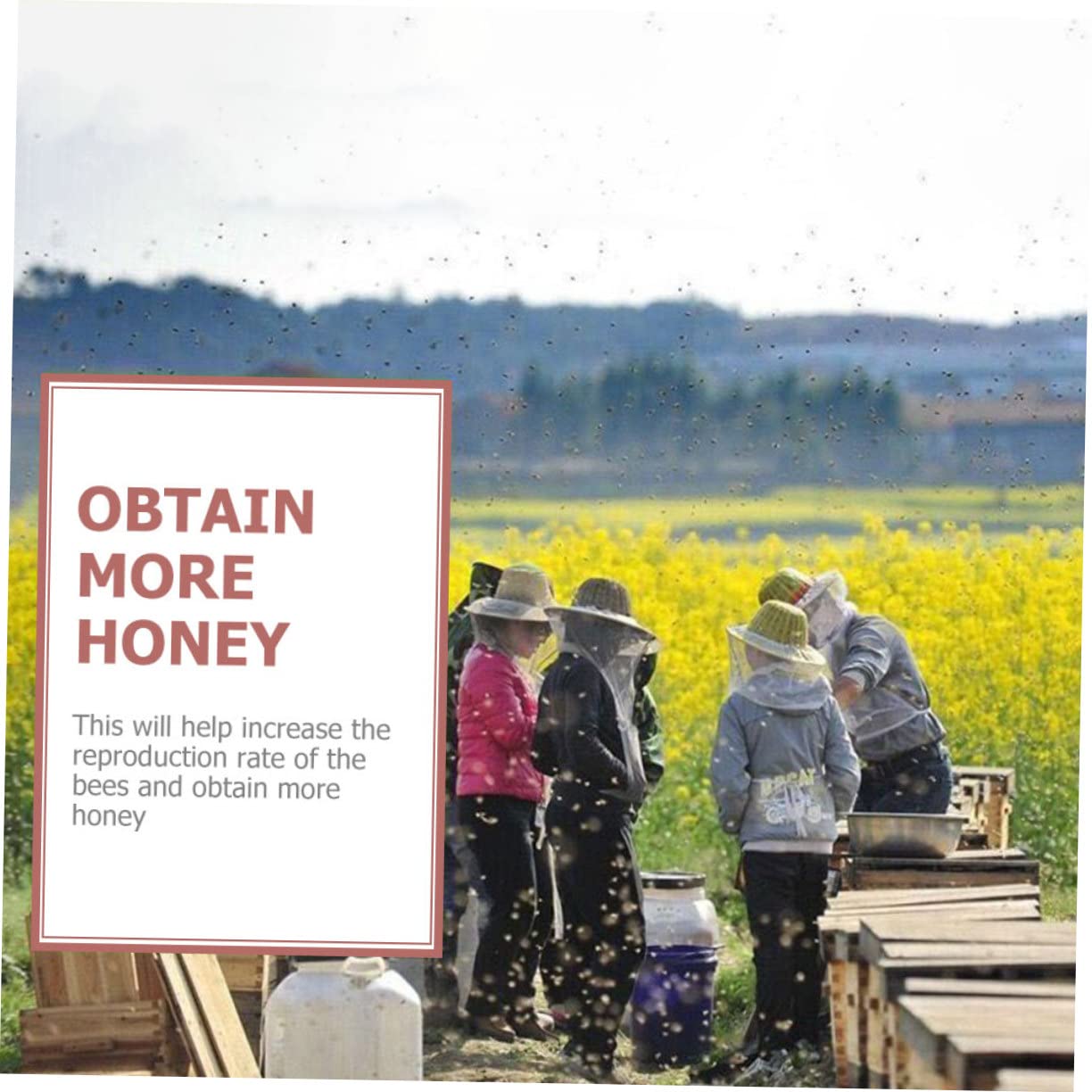 UPKOCH 20 Stück Bienenköniginnenkäfig Imkerwerkzeug für die Bienenzucht, Professioneller Königinnenzucht Schutzkäfig und Bienentransport, Langlebiges Imkereibedarf Zubehör, 7,8 x 2,6 cm