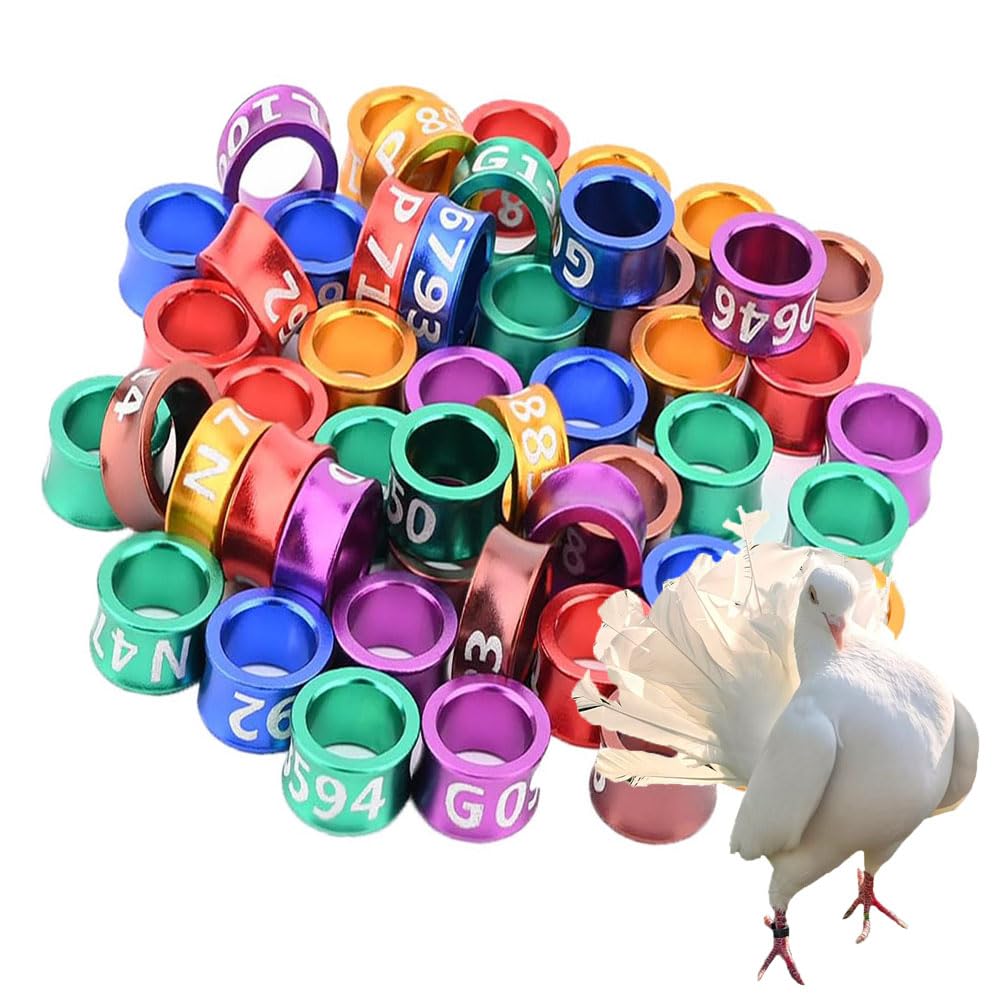 Amazon.co.jp: 50/100/200pcsオープン/閉じた口2種類の鳥の脚リング鳥