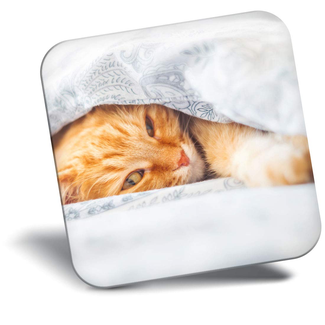 Destination Vinyl Ltd Fridge Magnet - Happy Sleeping Ginger Cat 21070