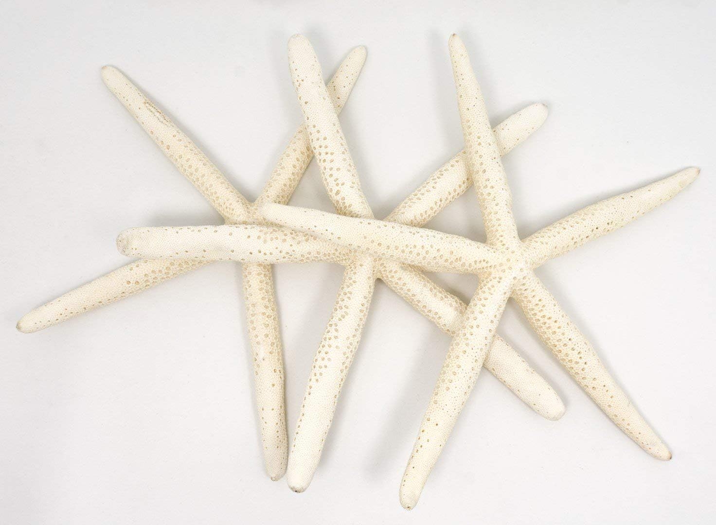 Starfish Decor - 3 Pack Large Star Fish 9-10 Inch - Starfish for Crafts - White Starfish Wall Décor - Beach Wedding Starfish - Beach Starfish Décor - Star Fish Decorations - Shells for Decoration