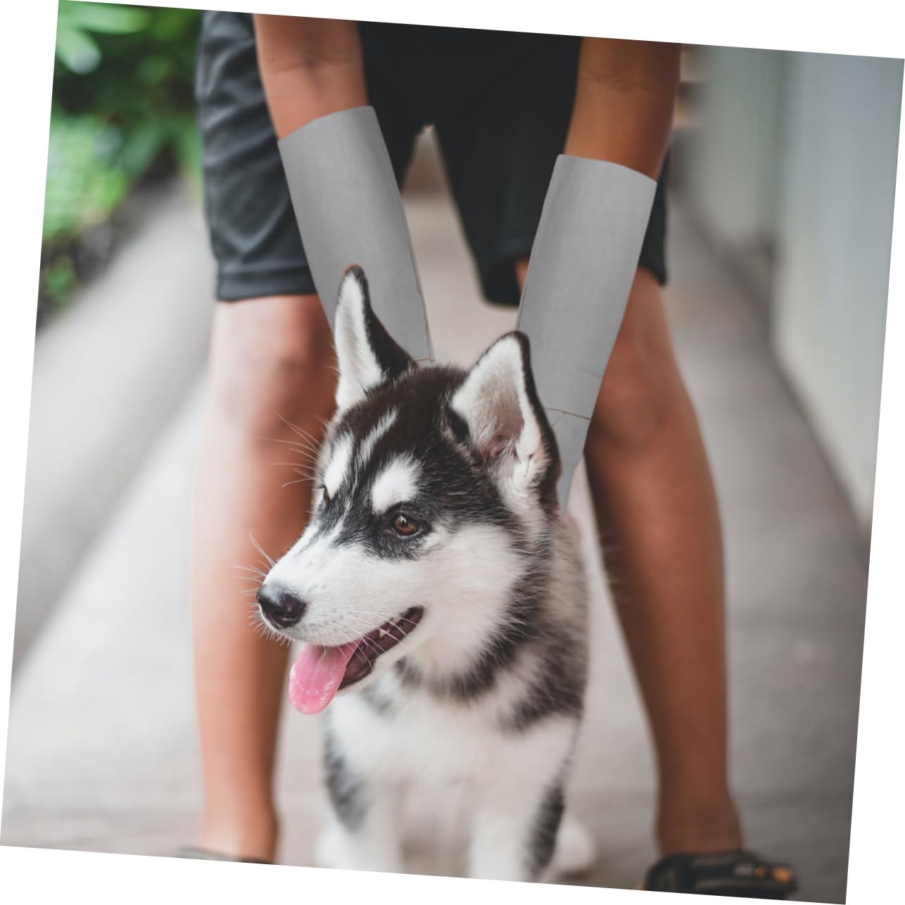 1 Paar Haustier-Anti-Biss-Handschuhe, bisssichere Hundehandschuhe, Fütterungshandschuhe, Haustier-Badehandschuhe, Haustier-Schutzhandschuhe, Fellpflege-Handschuhe, Stulpen, kosmetische Leder-Anti-Hand