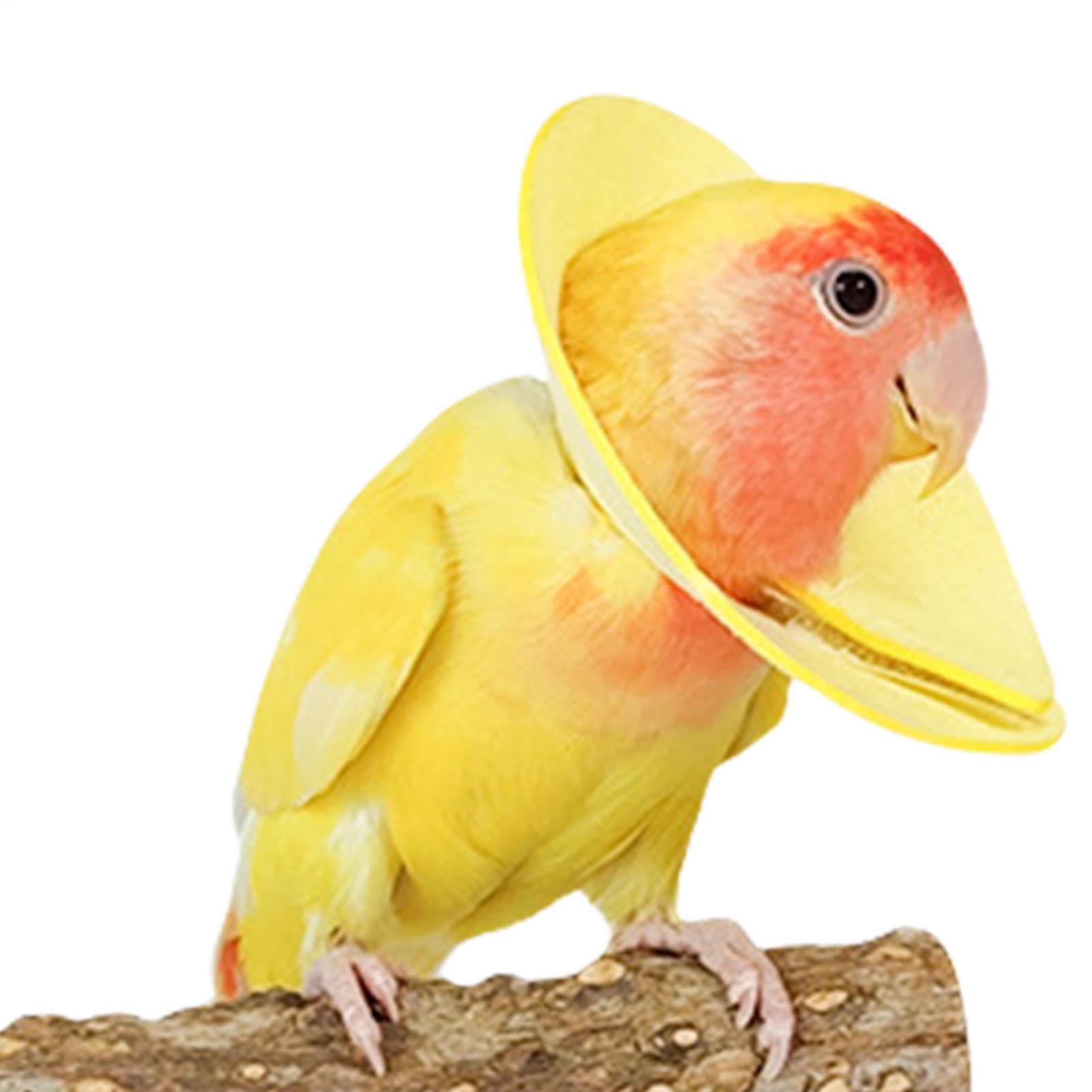 Parrot Elizabethan Collar Soft, Comfort, Gentle Bird Neck Protective Cone