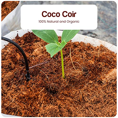 Image of Premium Coco Coir Brick | Coconut Fiber Block | Compressed Growing Medium | Perfect As Hydroponics Garden Soil | 100% Organic and Eco-Friendly | Great Seed Bed (Pack of 1 at 11 Lbs)