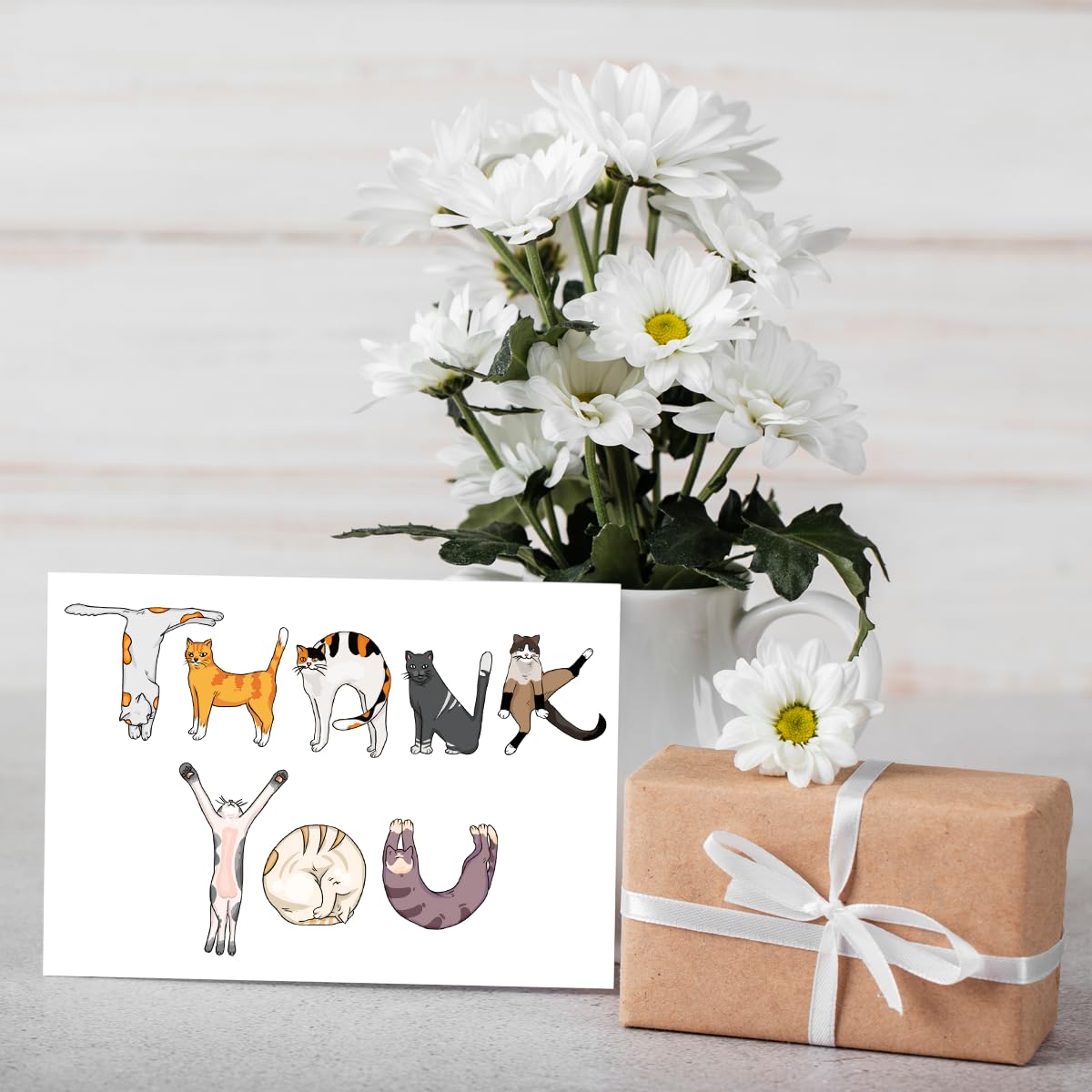Usa Pan Funny Cat Thank You Cards - Cute Appreciation Cards For Cat ...