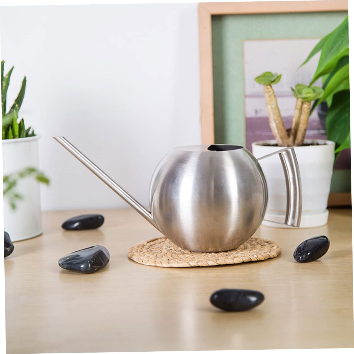 1 Pezzo Annaffiatoio da Inossidabile con Beccuccio per Piante Indoor e Outdoor Strumento Irrigazione Ergonomico e Facile