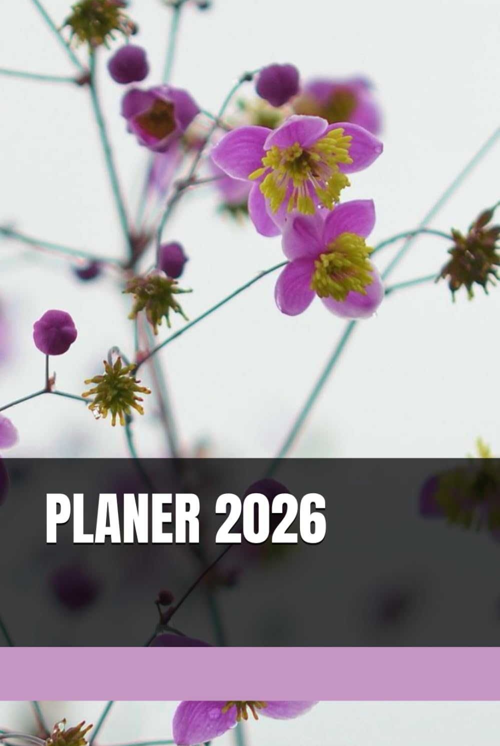 PLANER 2026