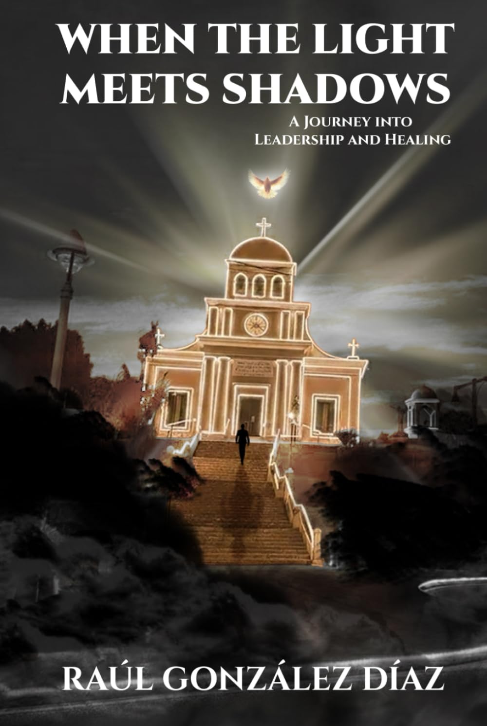 When the light meets shadows: A journey into leadership and healing