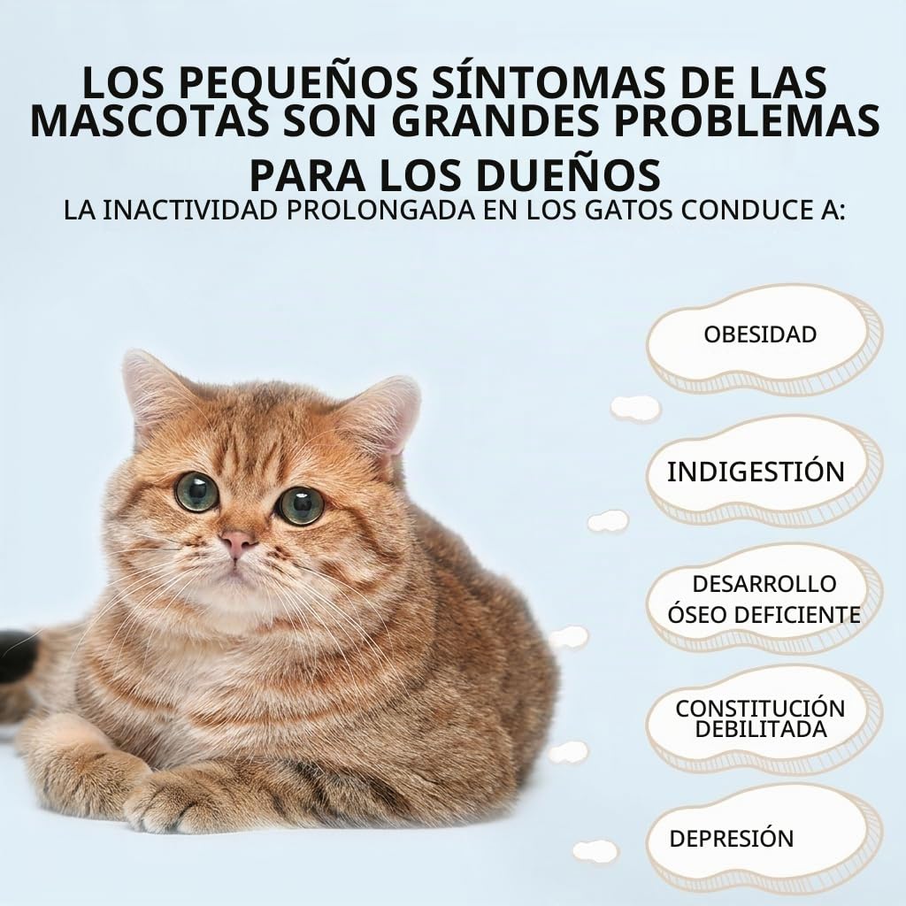 SOONHUA Rueda de correr para gatos de 80 cm con freno de seguridad, Rueda para gatos estable para gatos domésticos, Rueda de correr para gatos con alfombrilla extraíble