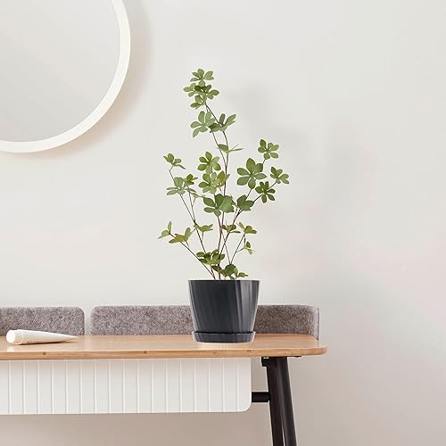 Miniatura 5 de Macetas de 6 pulgadas a granel, paquete de 6 macetas de plástico con agujeros de drenaje y platillos para plantas y flores de interior y exterior,