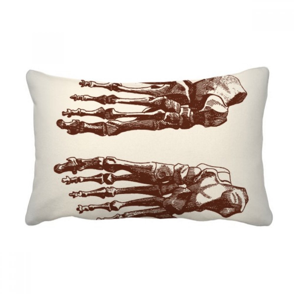 Coussin lombaire os humain sketch decoration canape maison multicolore 16x24