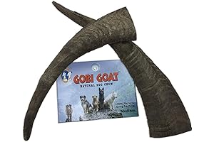 QT Dog Gobi Goat Horn Medium - 2 Pack, Brown