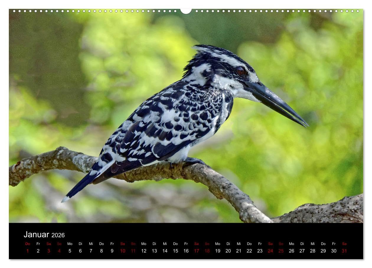 Sri Lanka - Tierische Momente (hochwertiger Premium Wandkalender 2026 DIN A2 quer), Kunstdruck in Hochglanz: Dieser Kalender gibt einen Einblick in die Tierwelt Sri Lankas (CALVENDO Natur)