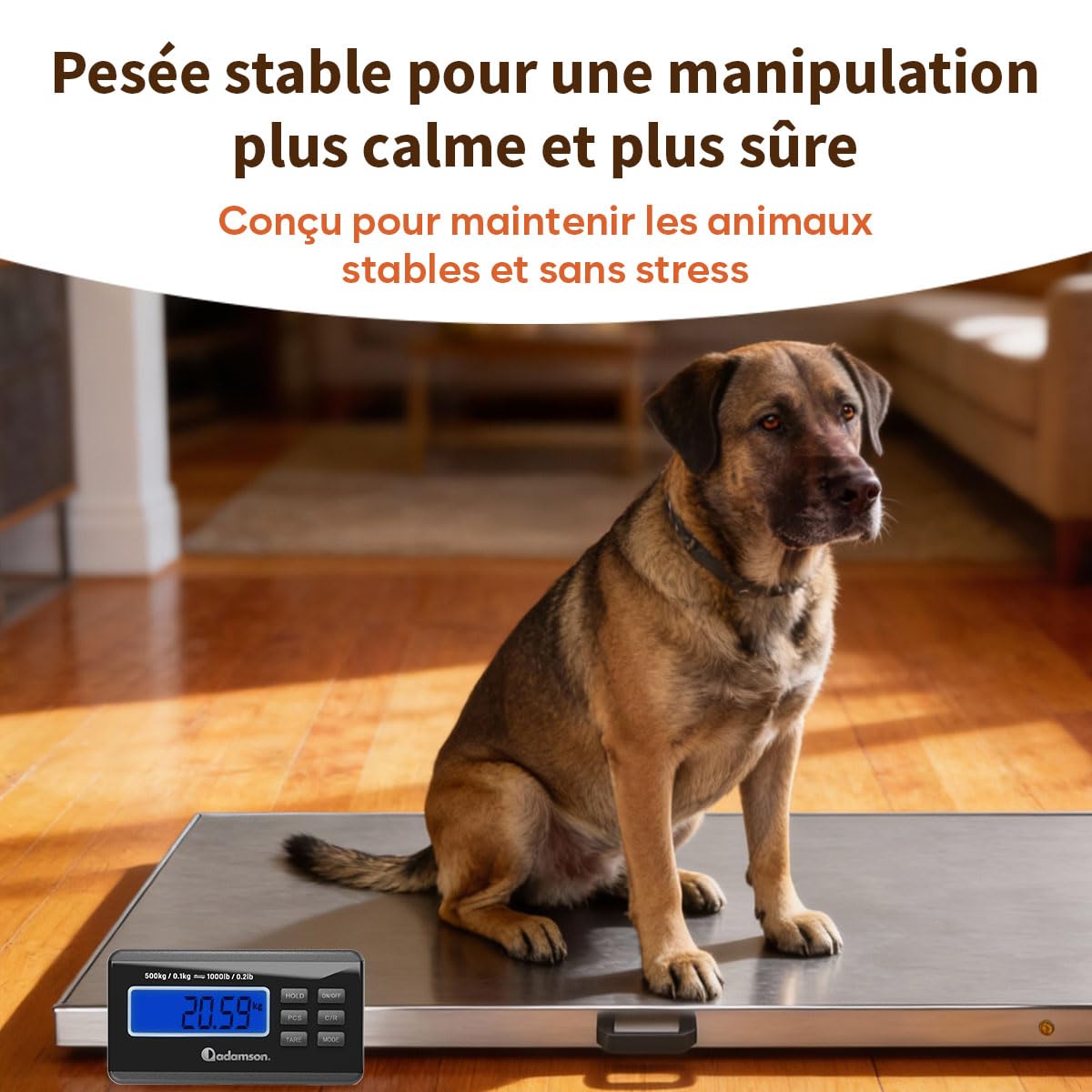 Adamson Balance Animaux 500 kg – Balance Professionnelle Électronique pour Chiens, Chats et Élevage – avec Fonctions Tare, Hold, PCS idéale aussi pour Colis – Alimentation Secteur ou Piles