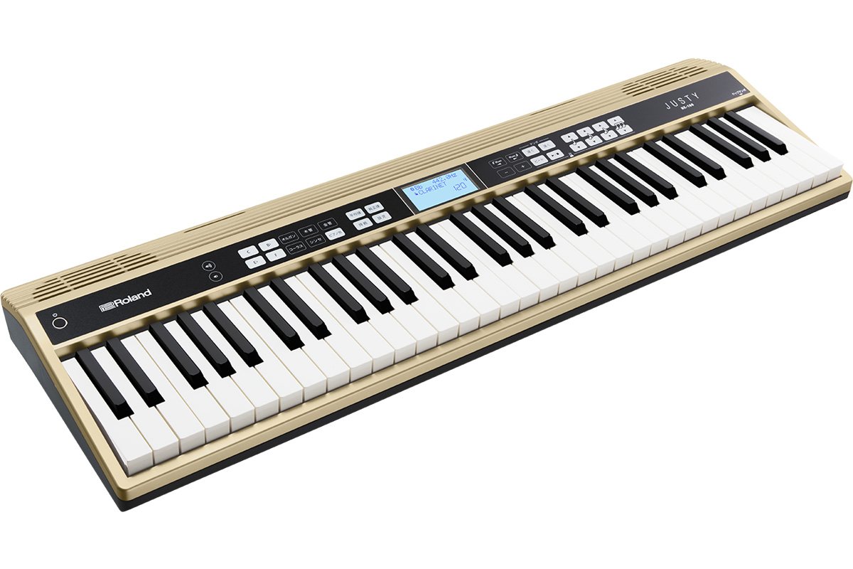 Amazon | Roland ローランド/JUSTY HK-100 ハーモニー＆リズム練習用  