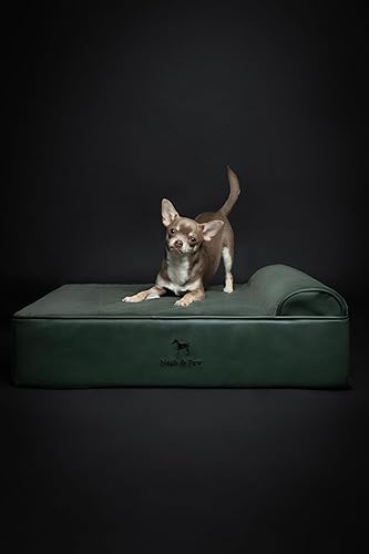 Miniatura 6 de NOAH & PAW Cama para perro, 28 x 23 x 11 pulgadas, camas ortopédicas para perros para mascotas de tamaño mediano, espuma viscoelástica de cáscara de