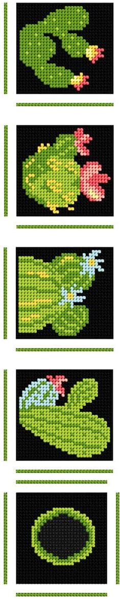 Counted Cross Stitch Kit on Plastic Canvas with Cactee. Superb Ornament 5.12x4.72x4.72 163CS. Marvelous for Art & Craft Amateurs