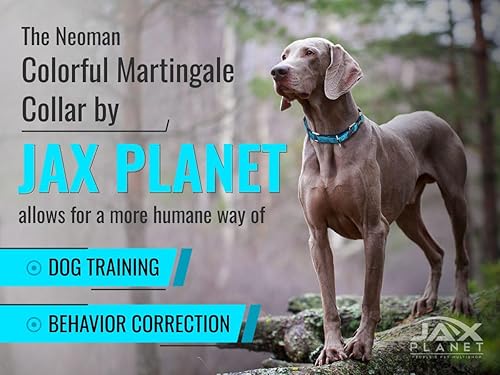 Miniatura 2 de Collar de Martingala colorido para entrenamiento de perros, collar reflectante seguro y humano para entrenamiento sin tirones, caminar, anillo en D