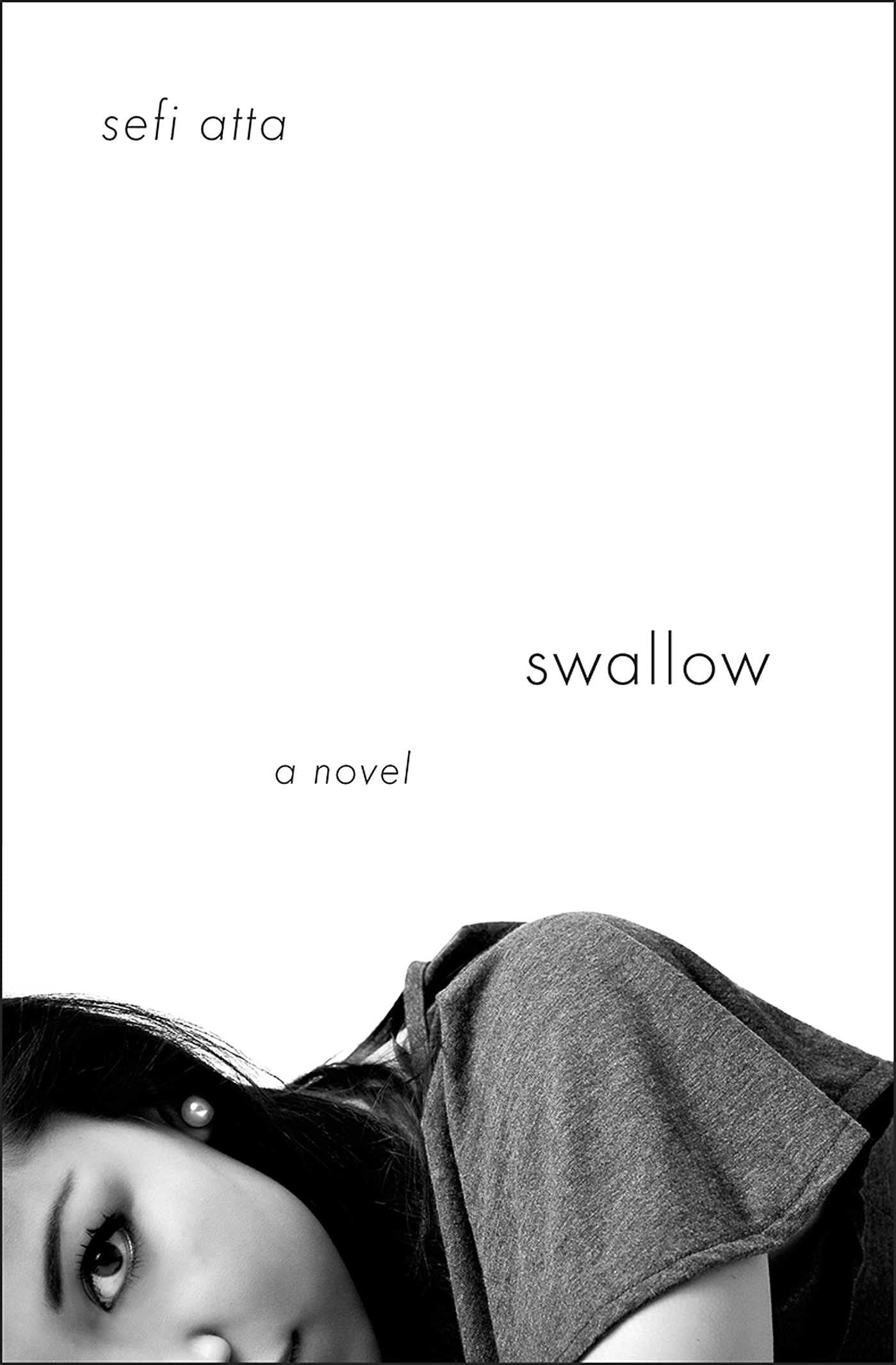 Interlink Books Swallow
