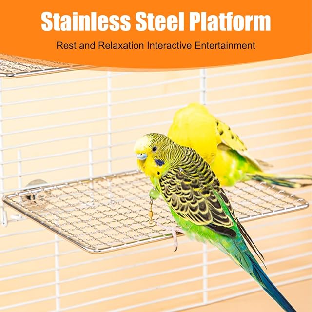 Foto 3 de 7 de Plataforma de percha para pájaros, estantes de acero inoxidable para periquitos para cacatúa, conure
