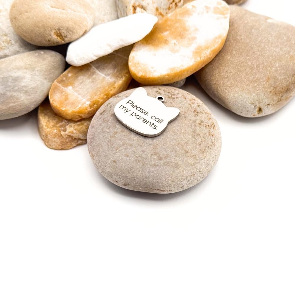 Custom Engraved Cat ID Tag – Stainless Steel, Personalized with Name and Phone Number – Durable Cat Collar Accessory with Cute Paw Design (Large, Silver)