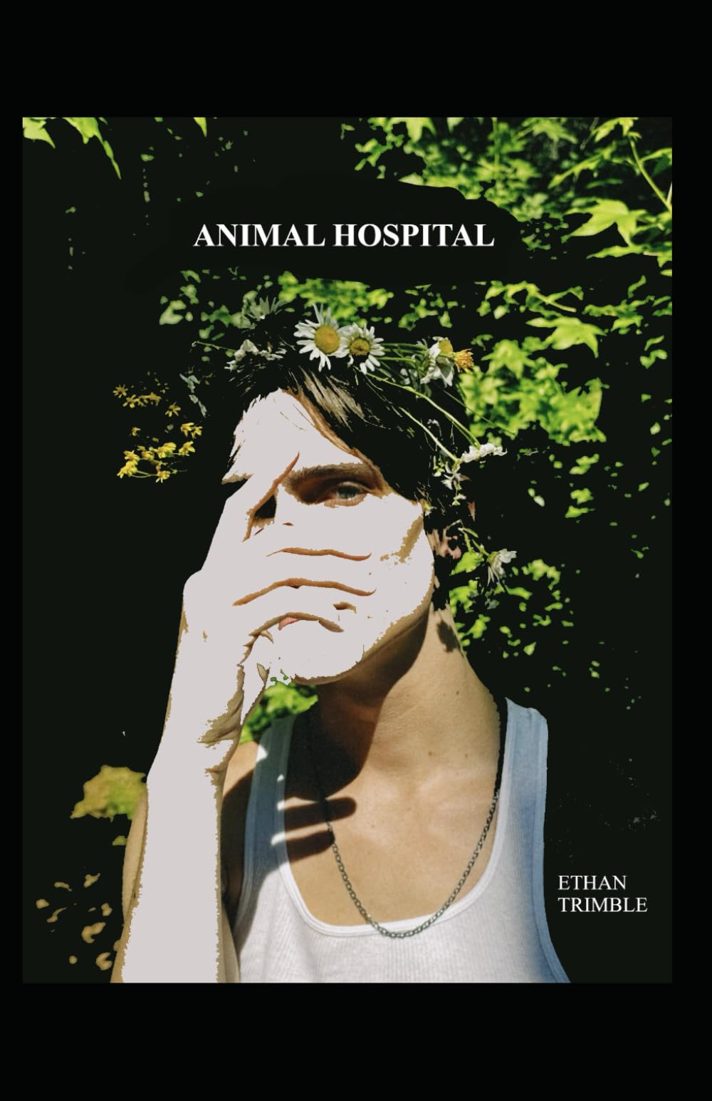 Animal Hospital
