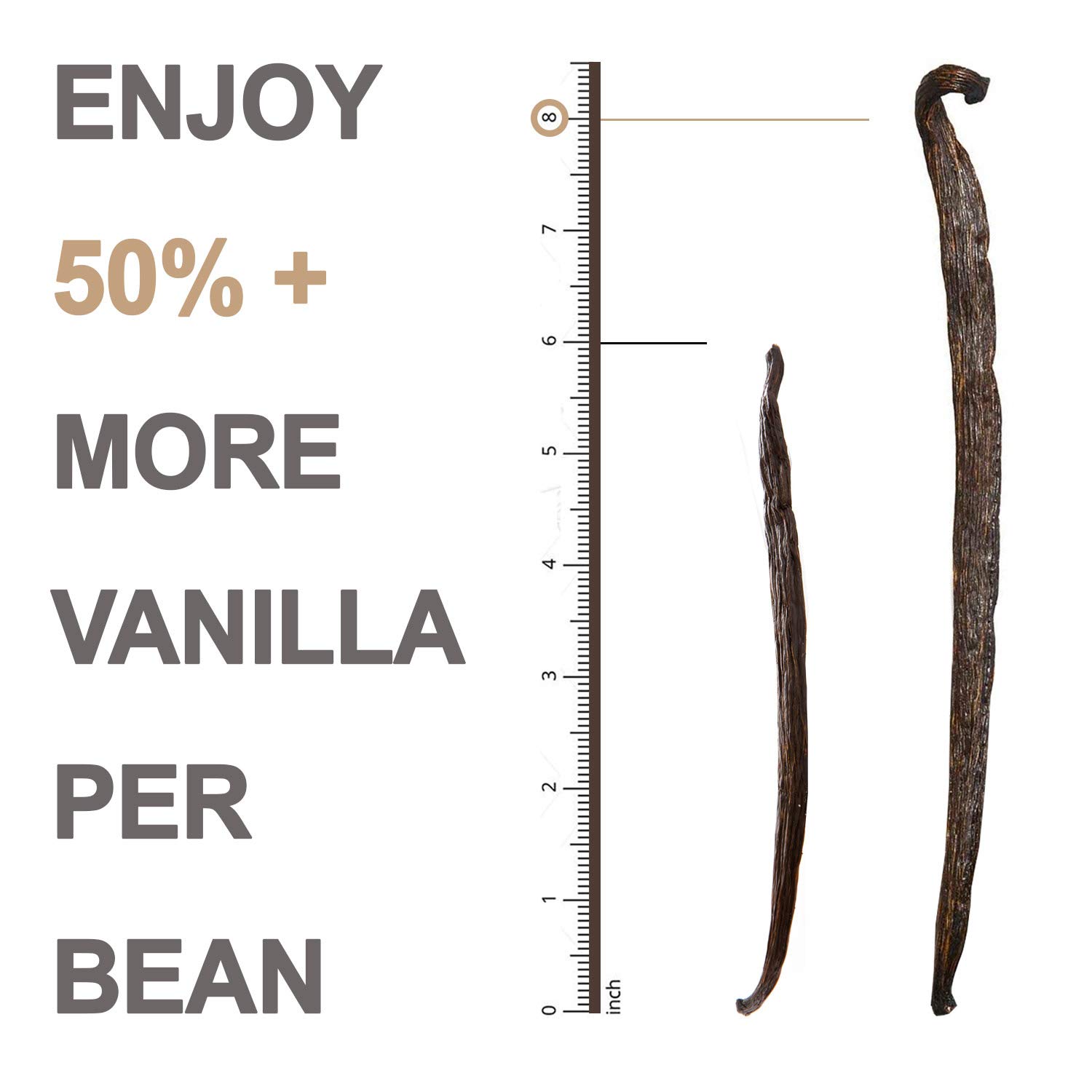 Organic Vanilla Beans (Grade A Gourmet) | Extra Large 8" Inches | Perfect Extracts, Baking, Cooking | Resealable 10 Pack | Premium Quality Culinary, Aroma, Freshness | Ceylon's Finest Vanillin