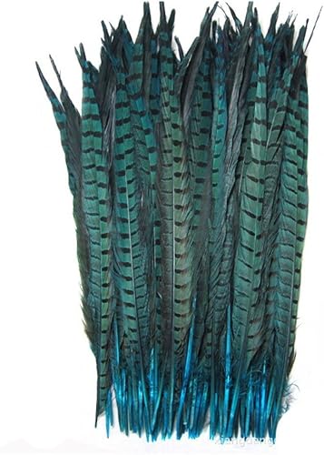 CENFRY Nature - Lote de 10 plumas para decoración de manualidades, 30,48 a 14.0in