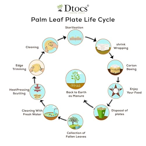 Miniatura 7 de Paquete de 50 platos de hoja de palma Dtocs  ecológicos, compostables, naturales, sin BPA, orgánicos desechables para boda, camping, cena de