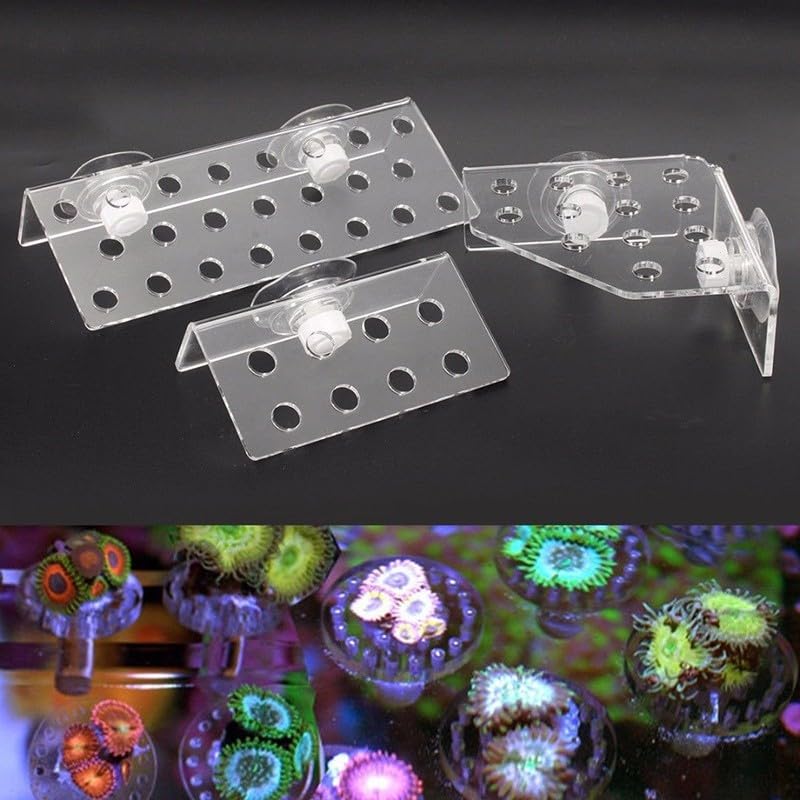 Kit de support pour aquarium marin conçu pour la culture de coraux vivants (CRB-8)