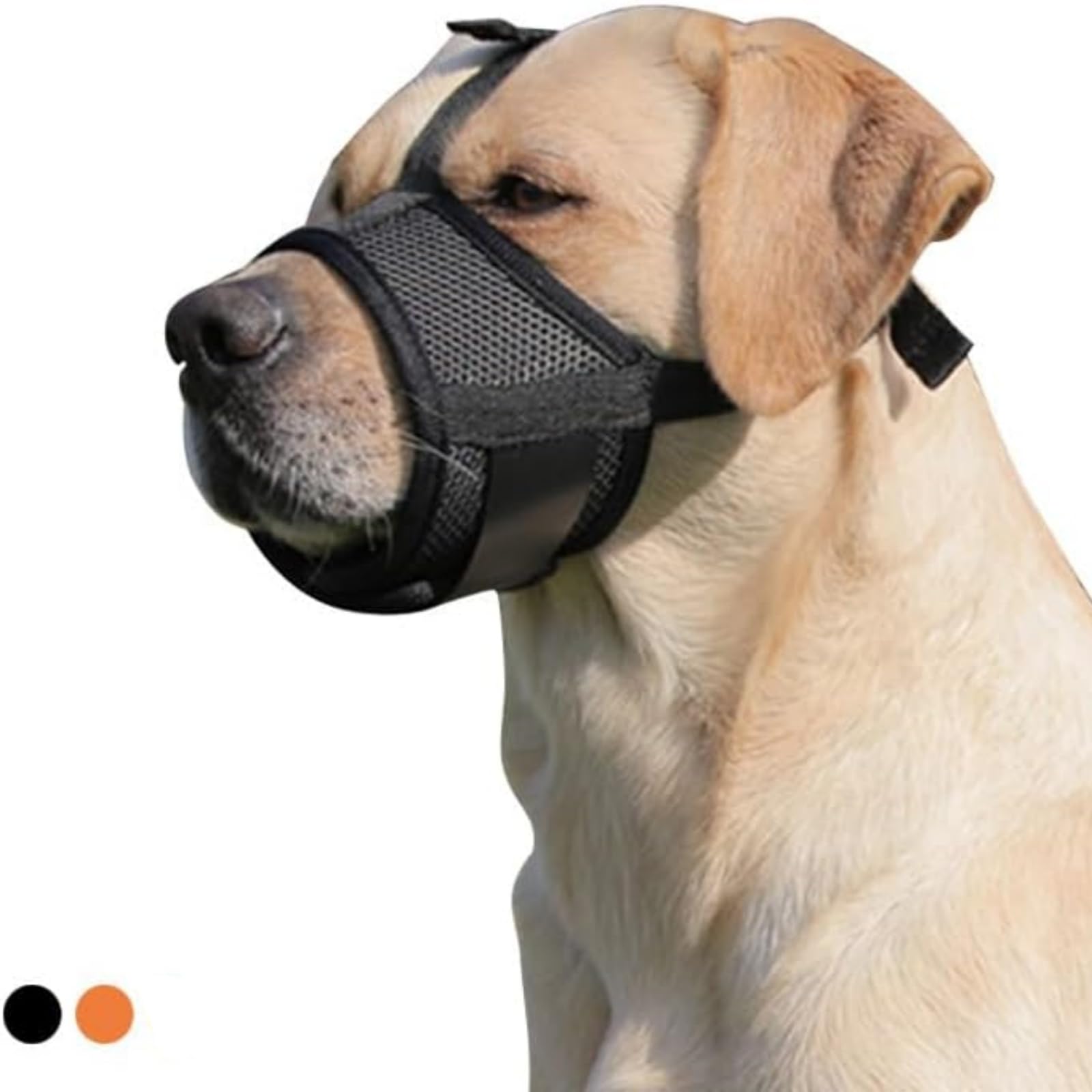 Muzzle Movement Dogs That Have To Wear Muzzles Muzzle Movement Do