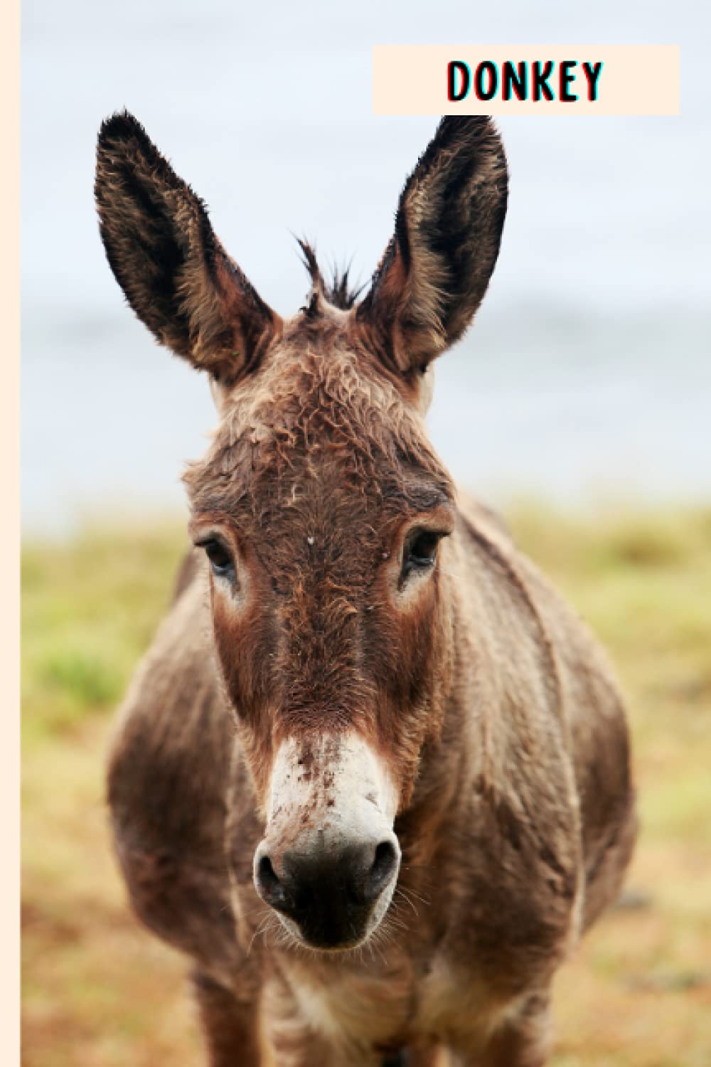 Donkey: Composition Notebook For Donkey Lovers , Donkey Lined Journal ,6x9 Inches , 110 Pages ,Donkey Diary