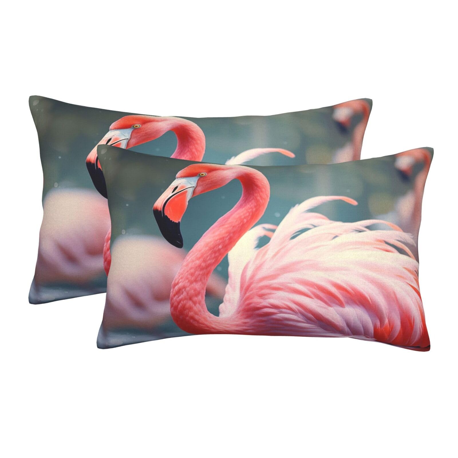 2 Pack Standard Size Pillow Cases for Hair and Skin Soft Breathable Pillow Case Covers with Hidden Zipper Pink Flamingo Pillowcase 20"x30" Pillow Cover for Sleeping Gift