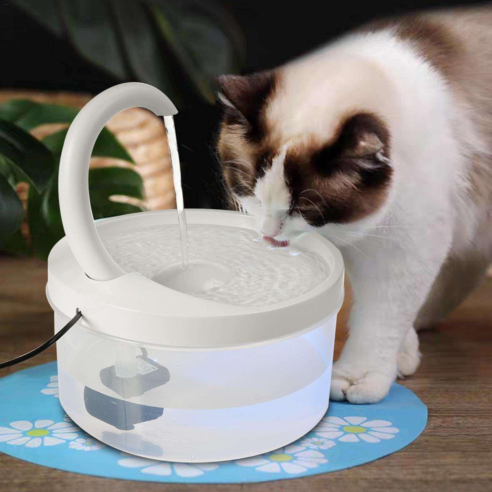 Fontanella Per Gatti Shaying 2L - Erogatore Acqua Silenzioso Con Luce LED E Filtro - Foto 1