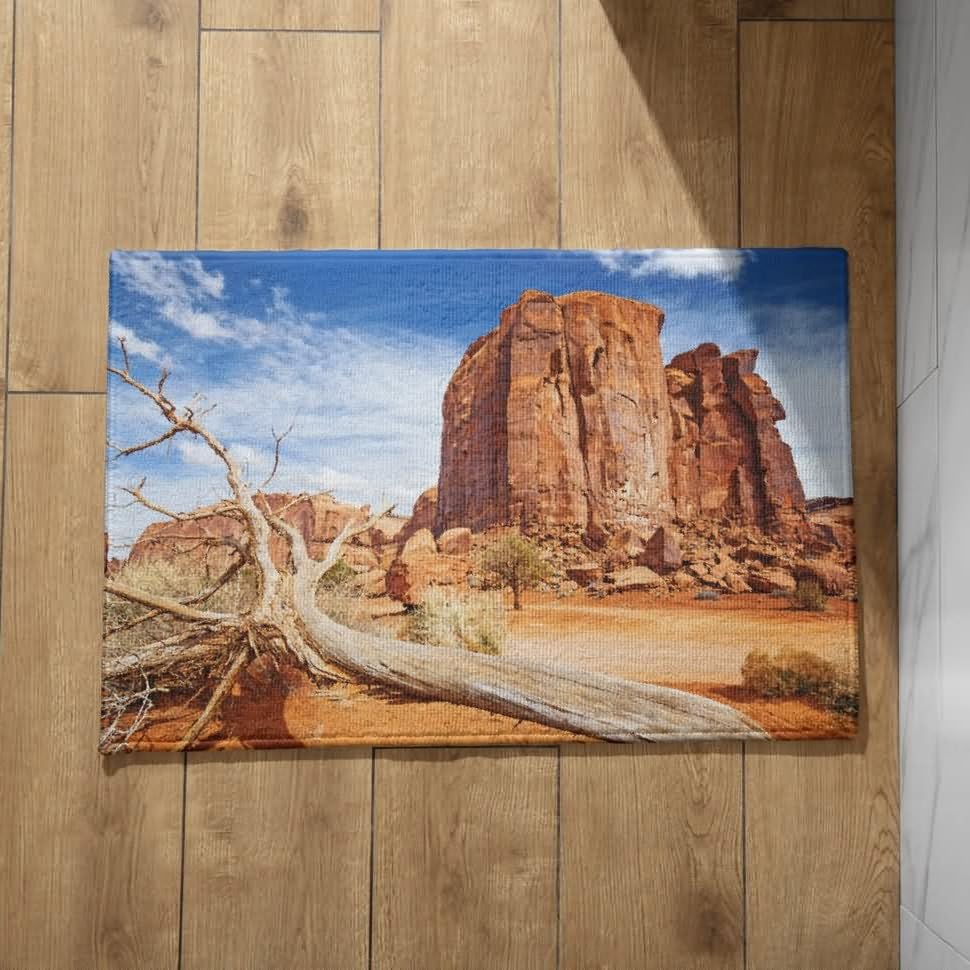 Tapis de porte antidérapant CEVAN anti-glisse et absorbant grand format