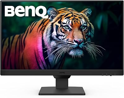 BenQ GW2490 (23.8 pollici, FHD, IPS, EyeCare, 100 Hz, tecnologia Brightness Intelligence, Low Blue Light+)